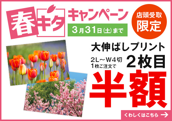 春キタキャンペーンはカメラのキタムラ