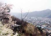 埼玉県小鹿野町・春まつり