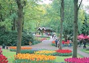 静岡県浜松市・浜名湖花博