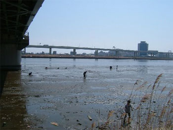 河川敷