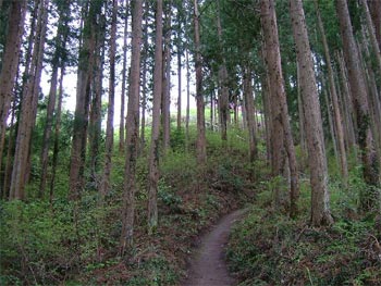 会場への道