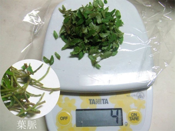 山椒