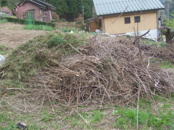 枯れ草