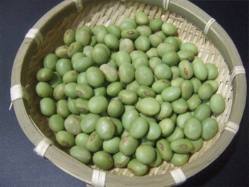 秘伝豆