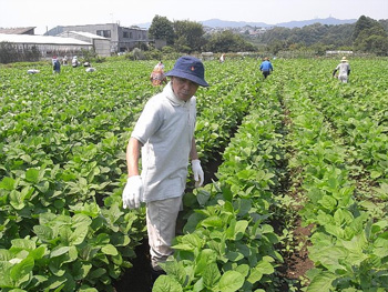 保冷剤を持参