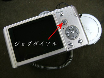 DMC-LX1