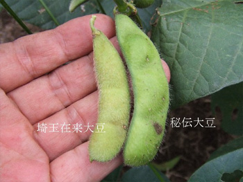 比較