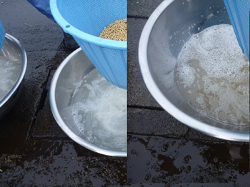 水が澄み