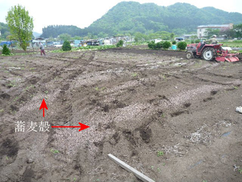 かんざし