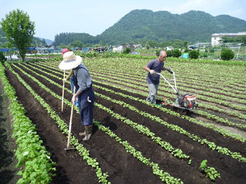 土寄せ