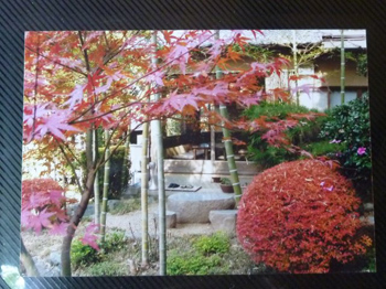 秋のお店