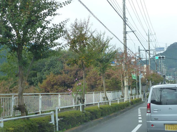 桧原街道