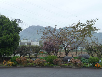 雨