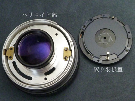 腑分け