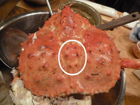 カニすき