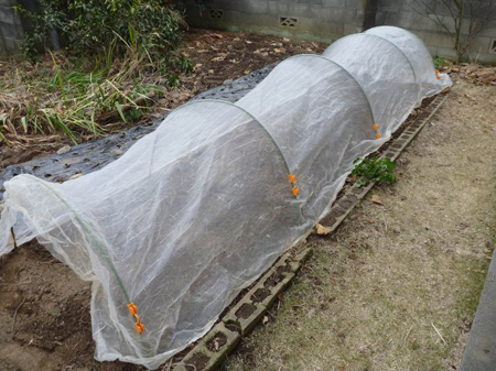 防虫ネット