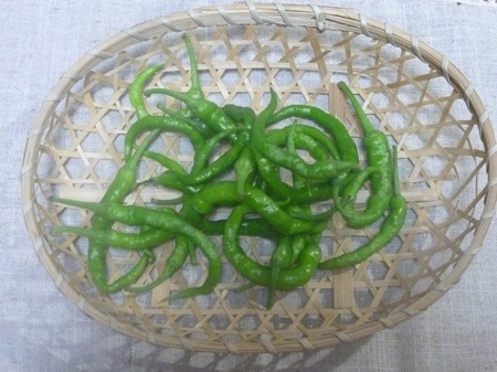 青唐辛子
