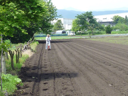 新たな畑