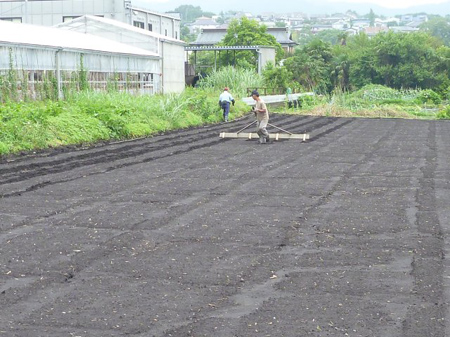 線引き