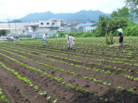 熱中症に注意