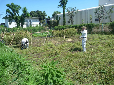 はざかけ