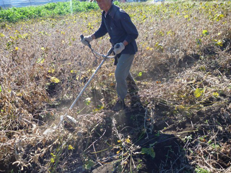 コンバイン