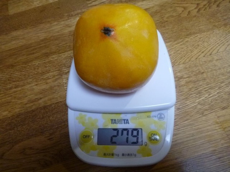 きな実