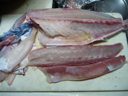 魚