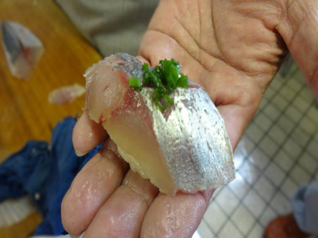 骨折鯛