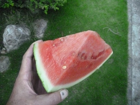 熱中症予防