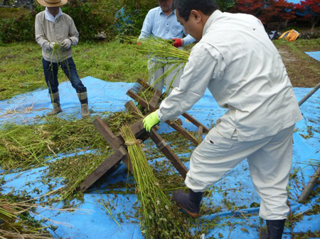 檜原蕎麦の脱穀