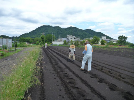 味噌作り