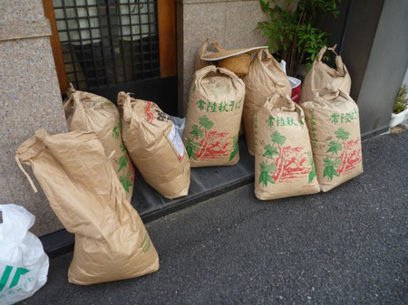 檜原村蕎麦畑（除草）