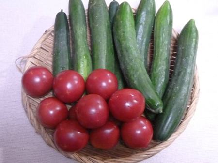 檜原村蕎麦畑（除草）