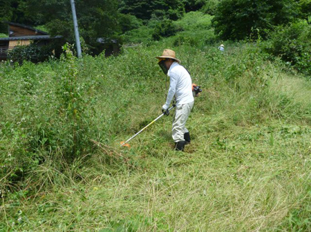 檜原村蕎麦畑（除草）