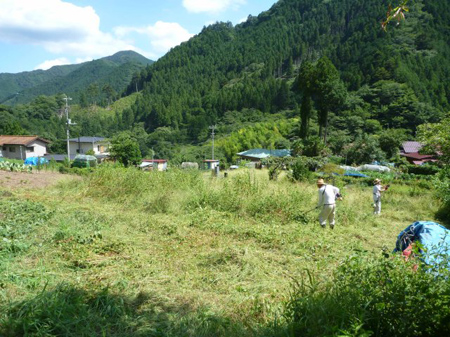 檜原村蕎麦畑（除草）