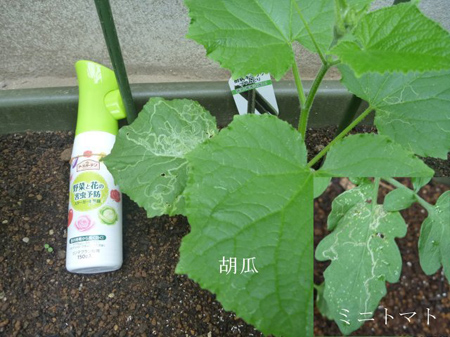 幕張メッセＤＩＹ２０１５