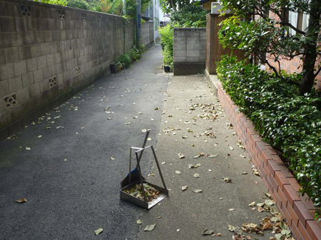 彼岸の花