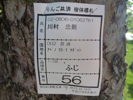 青森への旅立ち