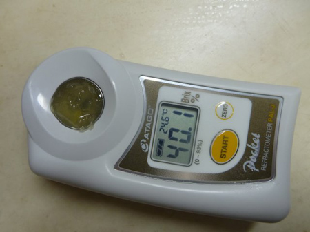 獅子柚（鬼柚子）