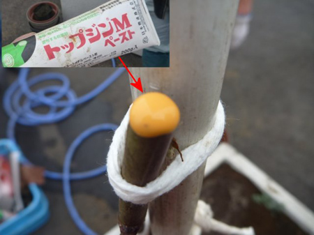 神奈川県職員に教わる