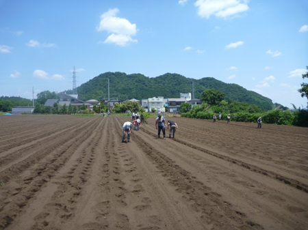 種蒔き