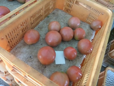 雑草を叩く