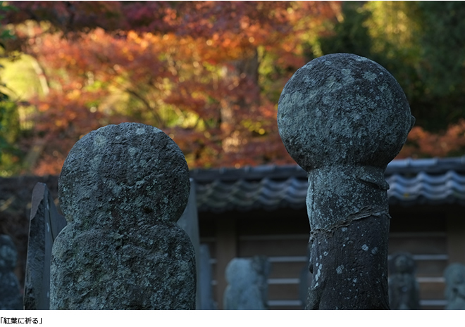 紅葉に祈る