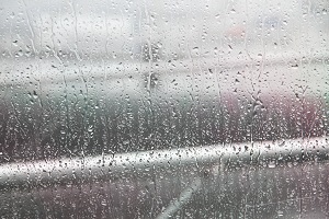 雨