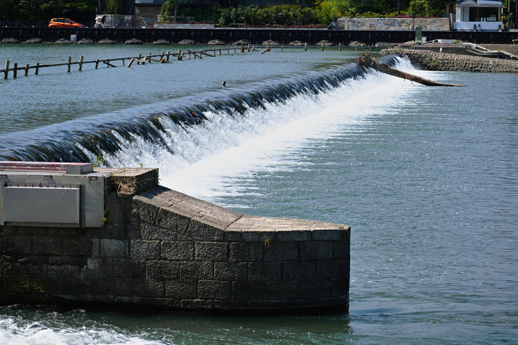 09_100-400mm F5-6.3 DG DN OS  Contemporaryでの作例.jpg