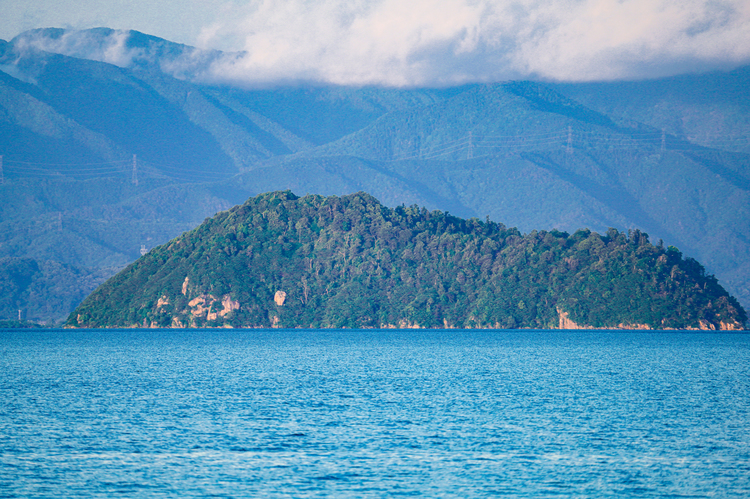 TAMRON 150－500F5-6.7DiⅢ VC VXDの作例007-500mm.jpg