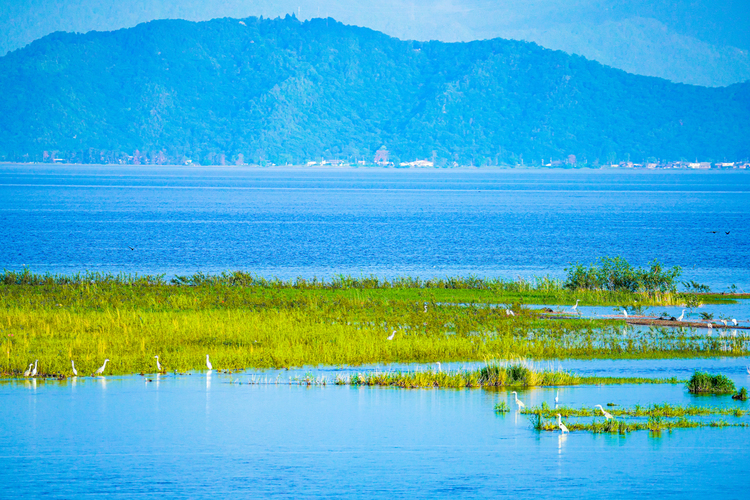 TAMRON 150－500F5-6.7DiⅢ VC VXDの作例011.jpg