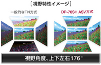 視野特性