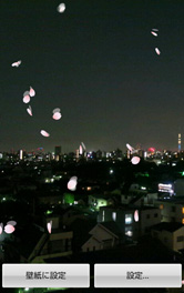 一足先に春が来たみたいですね。